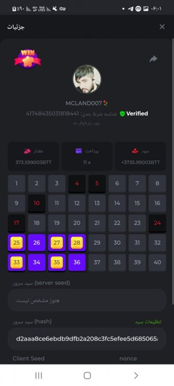 Screenshot_۲۰۲۱۱۱۲۵-۰۶۰۱۰۶_Chrome.jpg